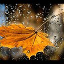 ���� ���������, �����, 70 ��� - ��������� 21 ���� 2014