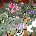 ���� �����, ������ �������� - ��������� 22 ����� 2014 � ������ �������