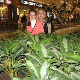 ���� ����������, �����-���������, 46 ��� - ��������� 19 ����� 2014