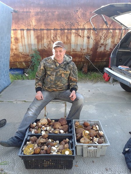 : oleg, 60 ,       