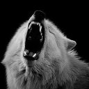 ���� ������, ������������, 49 ��� - ��������� 28 ������ 2014 � ������ ������ ��������