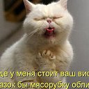 ���� Ta��, ������ - ��������� 24 ���� 2014 � ������ ������ ��������