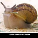 ���� �������, ����������, 51 ��� - ��������� 7 ��� 2014 � ������ ���� ����������