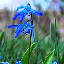 ���� �����, �����, 64 ���� - ��������� 24 ������ 2014 � ������ ������ � �����!�