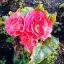 ���� ����, ��������, 44 ���� - ��������� 12 ���� 2014 � ������ ���� ����������