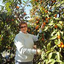 ������� 2013 ���. �������.