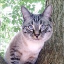 ���� �����, ������� - ��������� 10 ������� 2014 � ������ ������ ��������