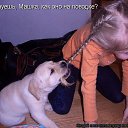 ���� Madam, �����-��������� - ��������� 22 ���� 2014 � ������ ������ ��������