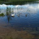 ���� Genrix, ���� - ��������� 28 ���� 2014 � ������ ���� ����������