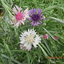  ,  -  26  2014     .