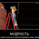���� �������, �������������, 57 ��� - ��������� 21 ��� 2014 � ������ ������ ��������
