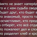 ���� �����, ������������ - ��������� 8 ������ 2014 � ������ ������ ��������