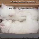  Marina,  -  16  2014    