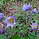 ���� �������, ������ - ��������� 11 ���� 2014 � ������ ������ ��������