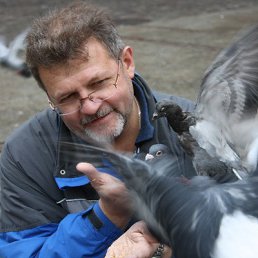 ����, ��������, 63 ����