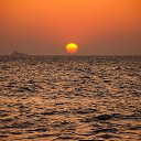 ���� ����, �����������, 71 ��� - ��������� 20 ������� 2014 � ������ �������