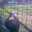 � �������� �� ������� ��� ����