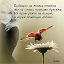 ���� ����� ����, ���������, 54 ���� - ��������� 2 ������ 2014 � ������ ������ ��������