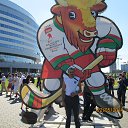  , , 54  -  1  2014     2014