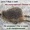 ���� ������, �����, 53 ���� - ��������� 28 ���� 2014 � ������ �������