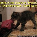  Marina,  -  12  2014    