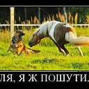 ���� �������, ������, 42 ���� - ��������� 22 ������� 2014 � ������ ���� ����������