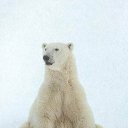 ���� �����, �����-���������, 45 ��� - ��������� 30 ���� 2014 � ������ ���� ����������