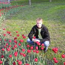 ���� ����, ������, 41 ��� - ��������� 28 ����� 2014 � ������ ���� ����������