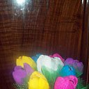 ���� ��������, ���������, 45 ��� - ��������� 7 ���� 2014 � ������ ������ ��������