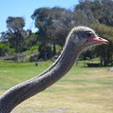 ��� ������ �� ������� ���� ����������