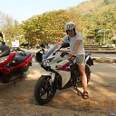 ���� ������, ������������ - ��������� 29 ��� 2014 � ������ ���� ����������