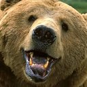 ���� ������, �������, 34 ���� - ��������� 14 ������ 2014 � ������ ������ ��������