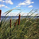 ���� �������, ������� - ��������� 1 ������� 2014 � ������ ����� ��� ������������