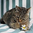 ���� �����, ������ - ��������� 12 ��� 2014 � ������ ������ ��������