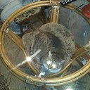 ���� ������, ����, 43 ���� - ��������� 8 ��� 2014 � ������ ���� ����������