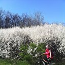 ���� �������, ������-��-����, 53 ���� - ��������� 18 ���� 2014 � ������ ���� ���� 2014�