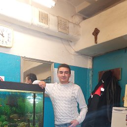 ���� ��������, ������, 48 ��� - ��������� 13 ������ 2014