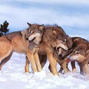 ���� ����, �������, 21 ��� - ��������� 24 ���� 2014 � ������ ���� ����������