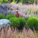 ������� �� ������� ���� ����������