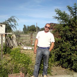 ����, ���������, 62 ����