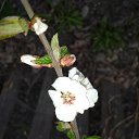 ������ �������� �� ������� �������