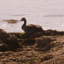 ���� Sveta, ���� - ��������� 19 ����� 2014 � ������ ����� � ����...�