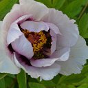 ���� �����������.
 �� ������� ���� ����������