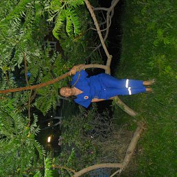 ���� �����, ���������, 50 ��� - ��������� 26 ��� 2014