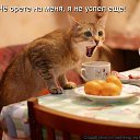 ���� �����, �������� - ��������� 11 ������� 2014 � ������ ���� ����� ����!�