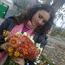 ���� ������, ������������, 66 ��� - ��������� 26 ���� 2014 � ������ ������ ��������
