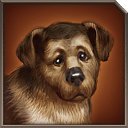 ���� ����, ���������, 32 ���� - ��������� 17 ����� 2014 � ������ ������ ��������