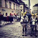 ���� �����, ������ - ��������� 29 ���� 2014 � ������ �����