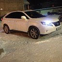 ���� �������, ���������, 23 ���� - ��������� 11 ���� 2014 � ������ ���� ����������