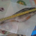 ���� ���������, ���������, 39 ��� - ��������� 12 ������ 2014 � ������ ���� ����������